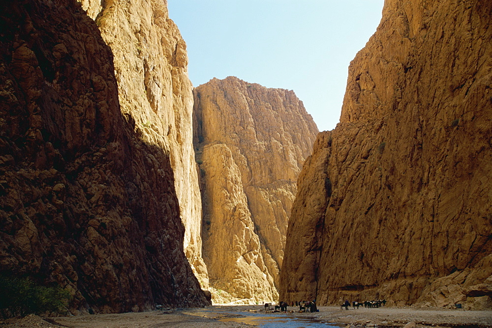 Todra Gorge, Tinerhir, Morocco, North Africa, Africa