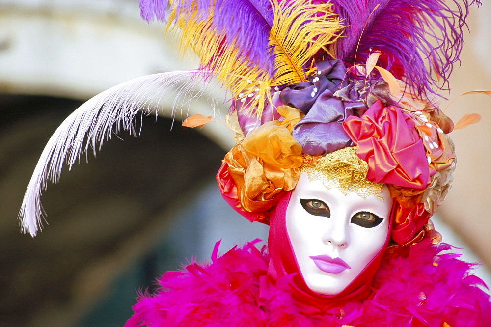 Portrait of a person dressed in mask and costume taking part in Carnival, Venice Carnival, Venice, Veneto, Italy, Europe