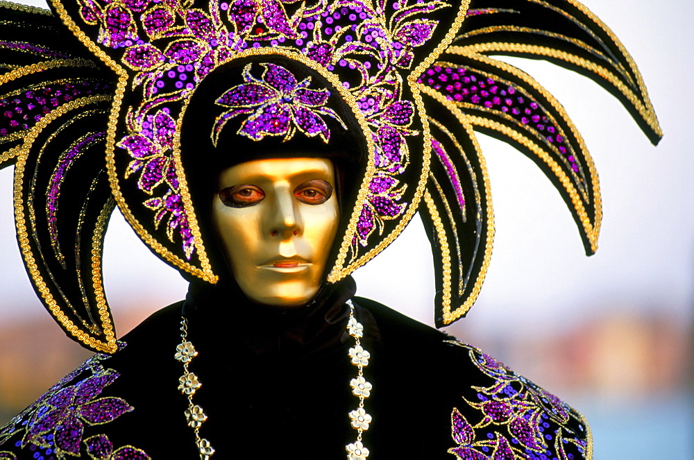 Portrait of a person dressed in mask and costume taking part in Carnival, Venice Carnival, Venice, Veneto, Italy, Europe