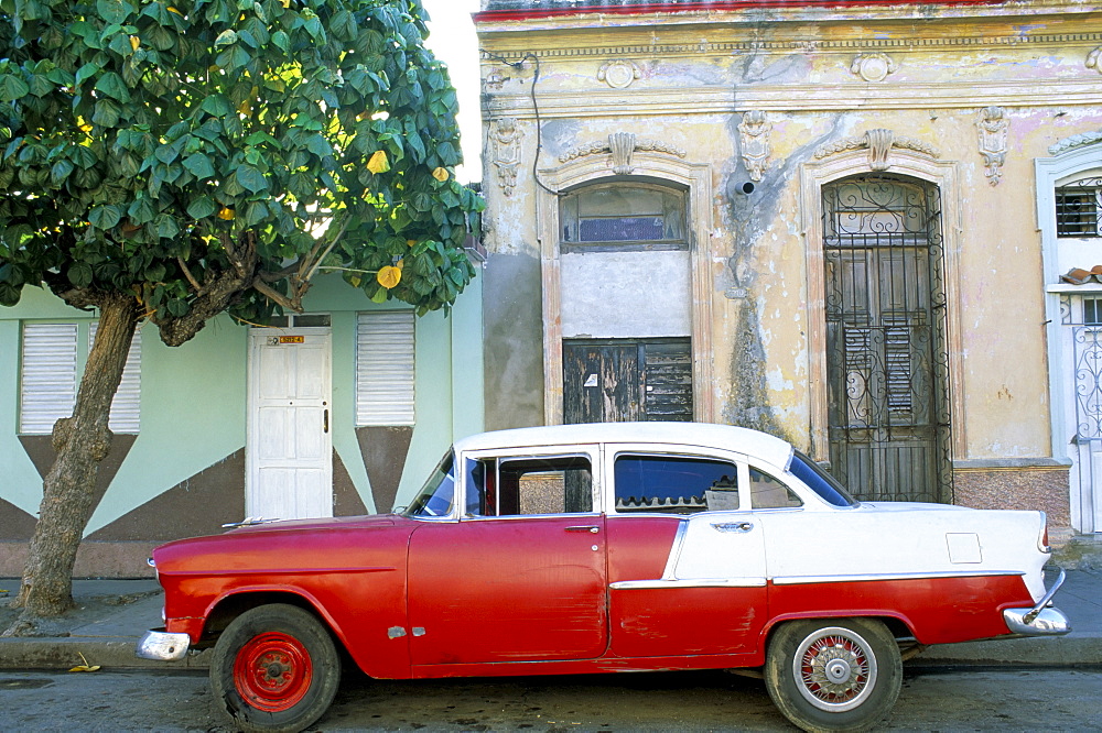 Old American car parked on street beneath fruit tree, Cienfuegos, Cuba, West Indies, Central America