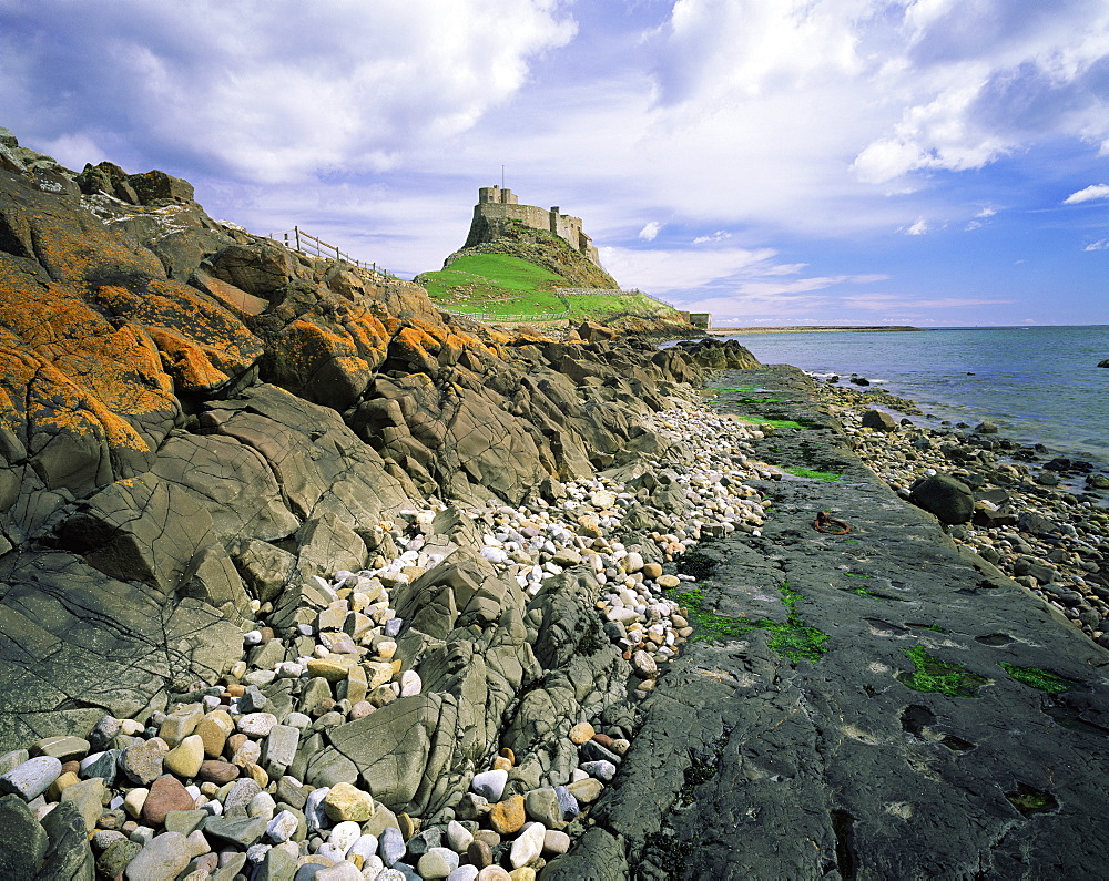 Lindisfarne castle, Lindisfarne, Holy Island, Northumberland, England, United Kingdom, Europe