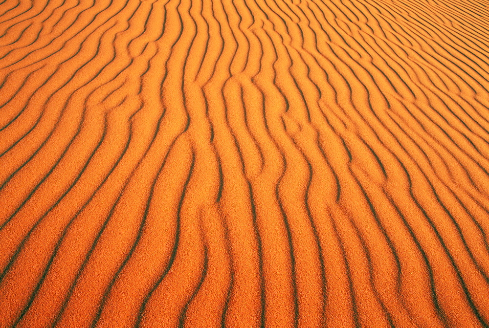 Patterns in sand dunes in Erg Chebbi sand sea, Sahara Desert, near Merzouga, Morocco, North Africa, Africa