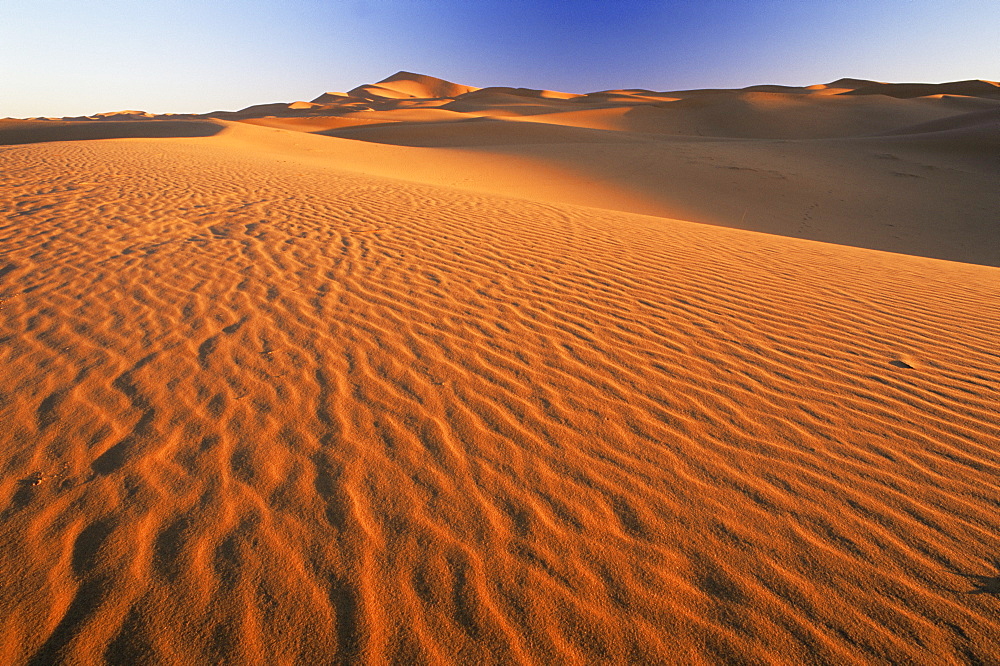 Sand dunes in Erg Chebbi sand sea, Sahara Desert, near Merzouga, Morocco, North Africa, Africa