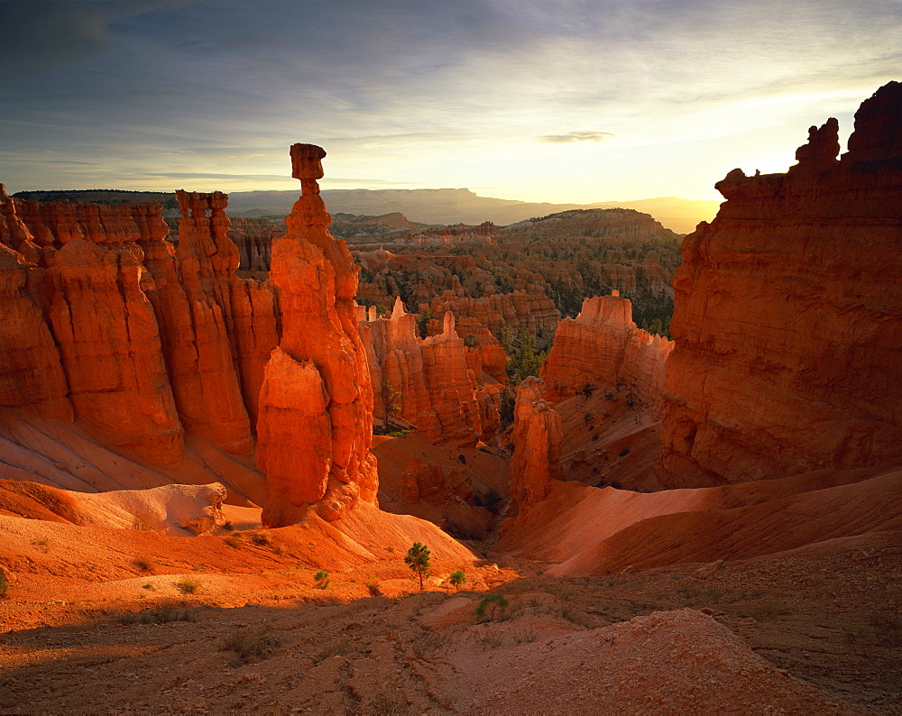 Backlit hoodoos and Thor's Hammer, Bryce Canyon National Park, Utah, United States of America, North America