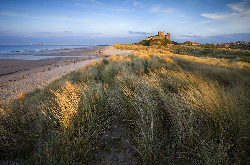 Looking towards Bamburgh Castle bathed in evening light from the dunes above Bamburgh Beach, Bamburgh, Northumberland, England, United Kingdom, Europe