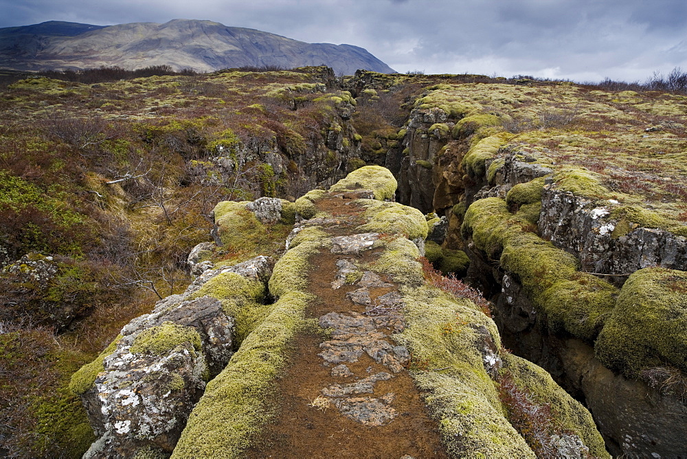 Fault in the landscape caused by continental drift between North American and Eurasian tectonic plates at Thingvellir National Park near Reykjavik, Iceland, Polar Regions
