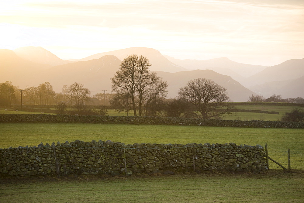 Sunset over Lakeland Fells with fields and stone walls, near Keswick, Lake District National Park, Cumbria, England, United Kingdom, Europe