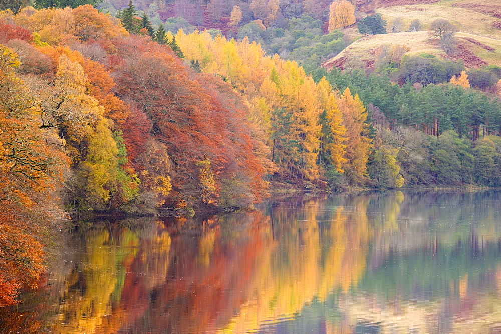 Autumn colour on the banks of the River Tummel near Pitlochry, Scotland, United Kingdom, Europe