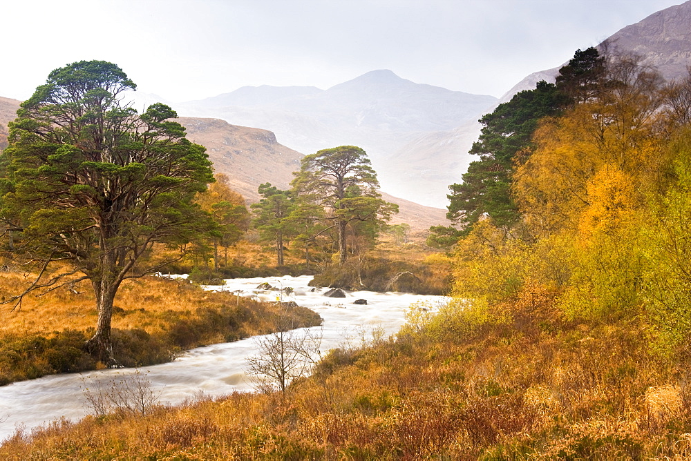 Autumn view along Torridon River and Glen Torridon, Wester Ross, Highlands, Scotland, United Kingdom, Europe