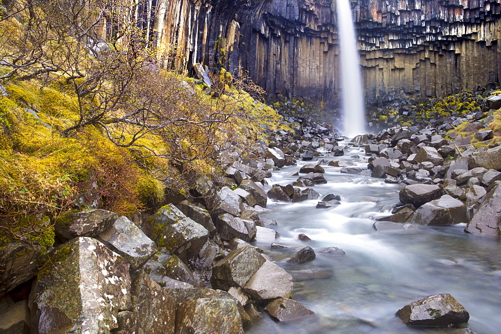 Svartifoss waterfall in the Skaftafell National Park, Iceland, Polar Regions