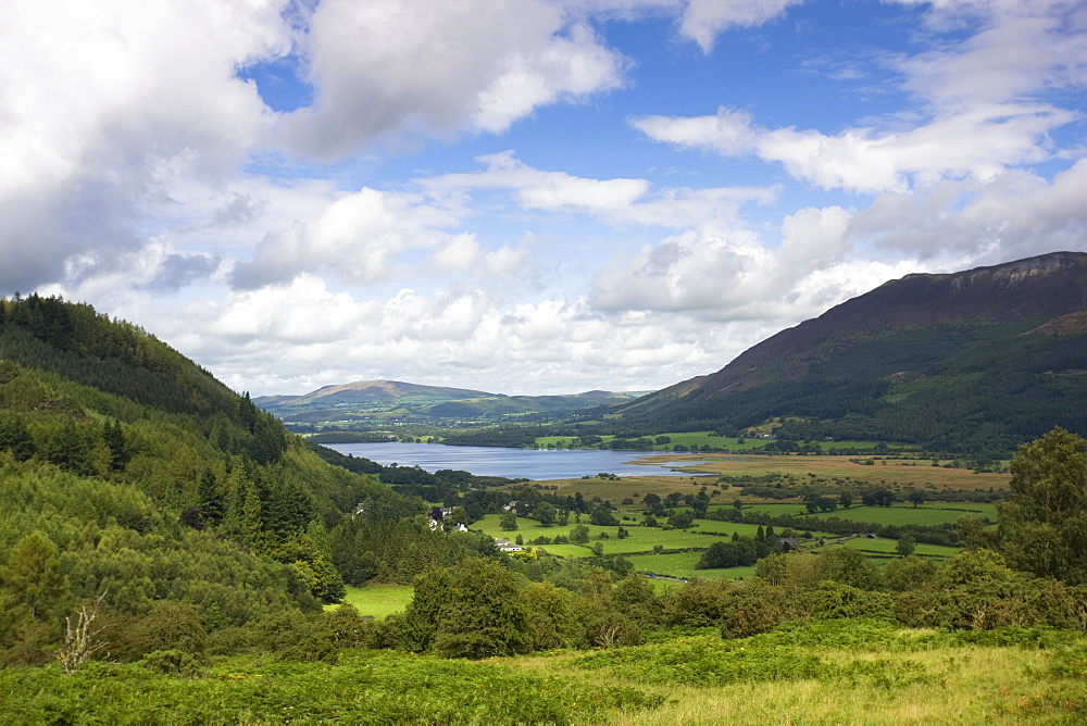 View towards Bassenthwaite Lake from the Whinlatter Pass road, near Keswick, Lake District National Park, Cumbria, England, United Kingdom, Europe