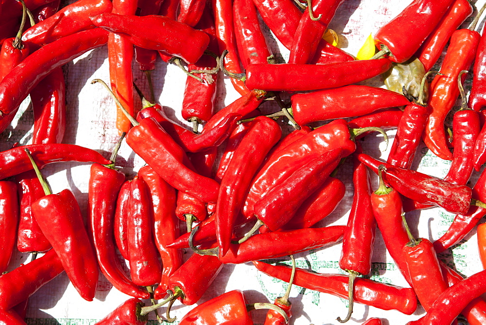 Red chillis drying in the sun Punakha Valley, Bhutan, Asia