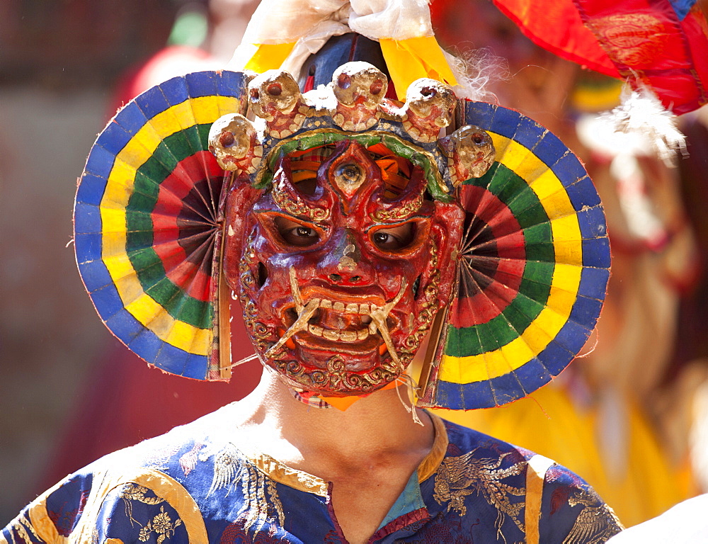 Buddhist monk wearing colourful carved wooden mask at the Tamshing Phala Choepa Tsechu, near Jakar, Bumthang, Bhutan, Asia