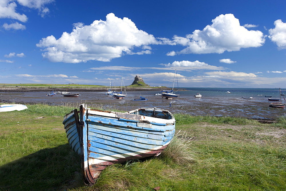 Old wooden fishing boat on a grassy bank with Lindisfarne harbour and Lindisfarne Castle in the background, Holy Island (Lindisfarne), Northumberland, England, United Kingdom, Europe