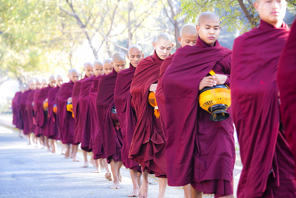 Buddhist monks walking along road to collect alms, near Shwezigon Paya, Nyaung U, Bagan, Myanmar (Burma), Asia