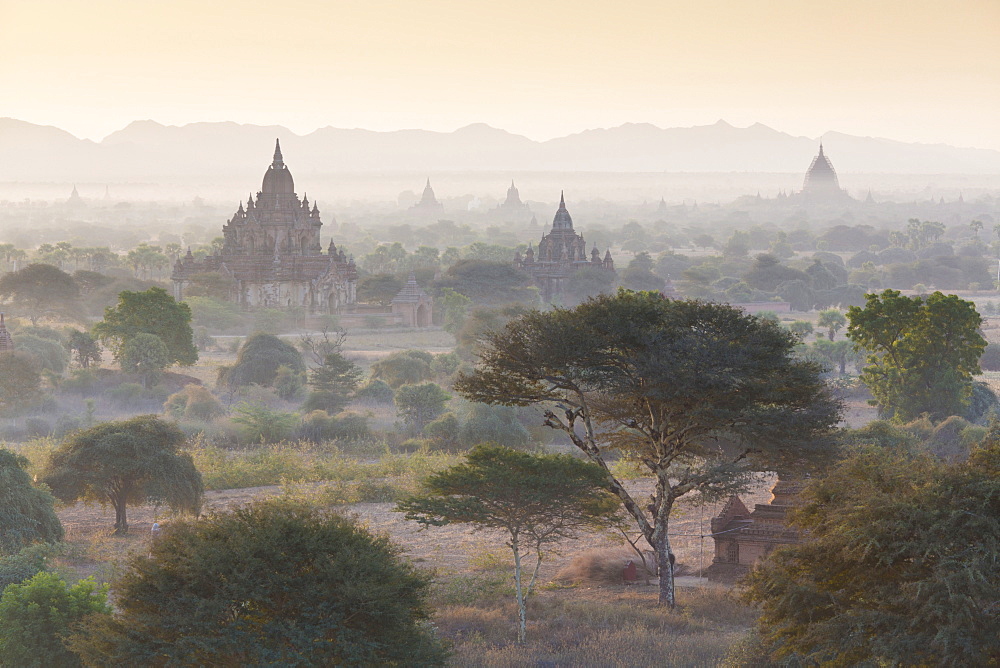 View over the temples of Bagan swathed in early morning mist, from Shwesandaw Paya, Bagan, Myanmar (Burma), Southeast Asia