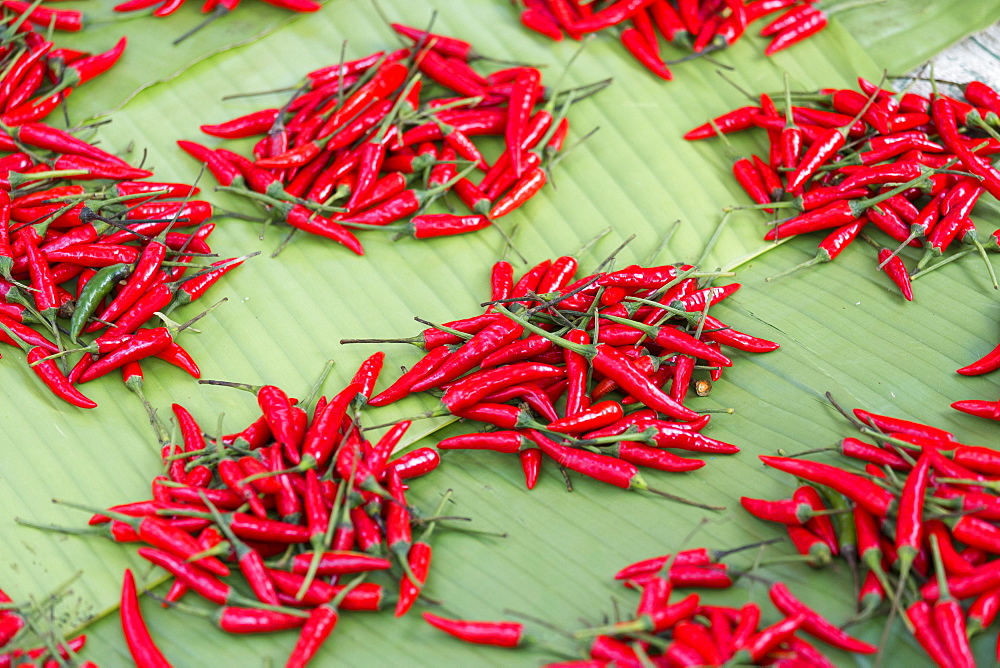 Red chillies on sale in town market, Kengtung (Kyaingtong), Shan State, Myanmar (Burma), Asia