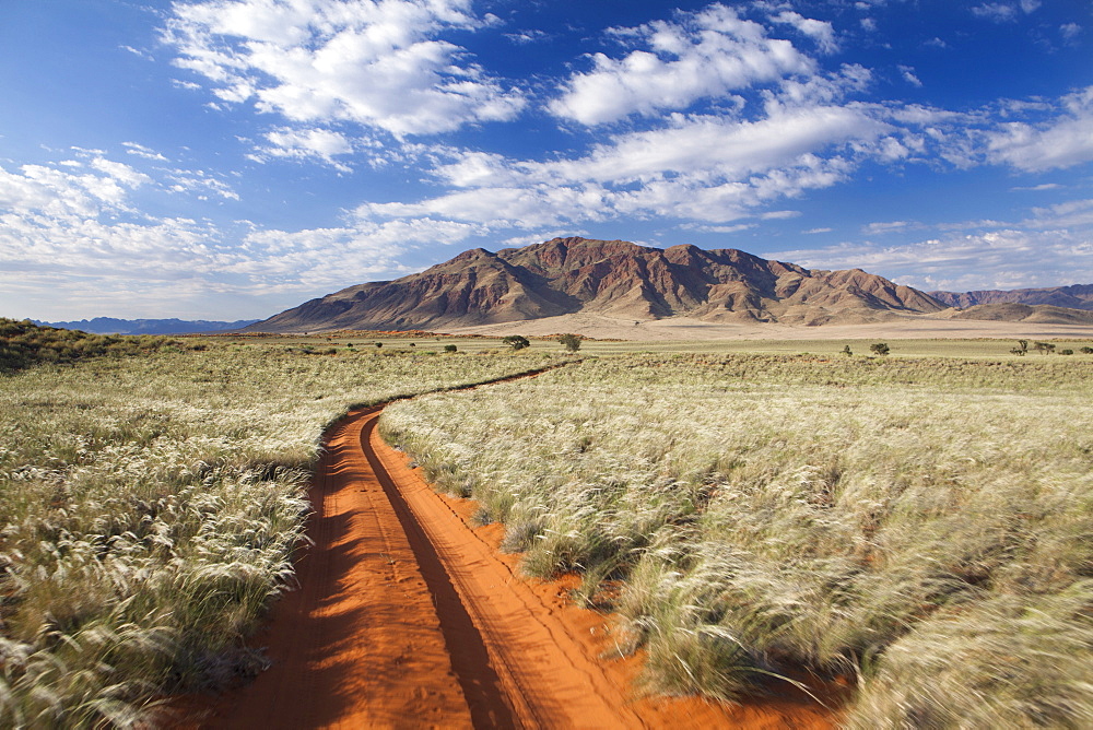 Sand road cutting across grassy landscape towards mountains, Wolwedans, Namib Rand Game Reserve, Namib Naukluft Park, Namibia, Africa