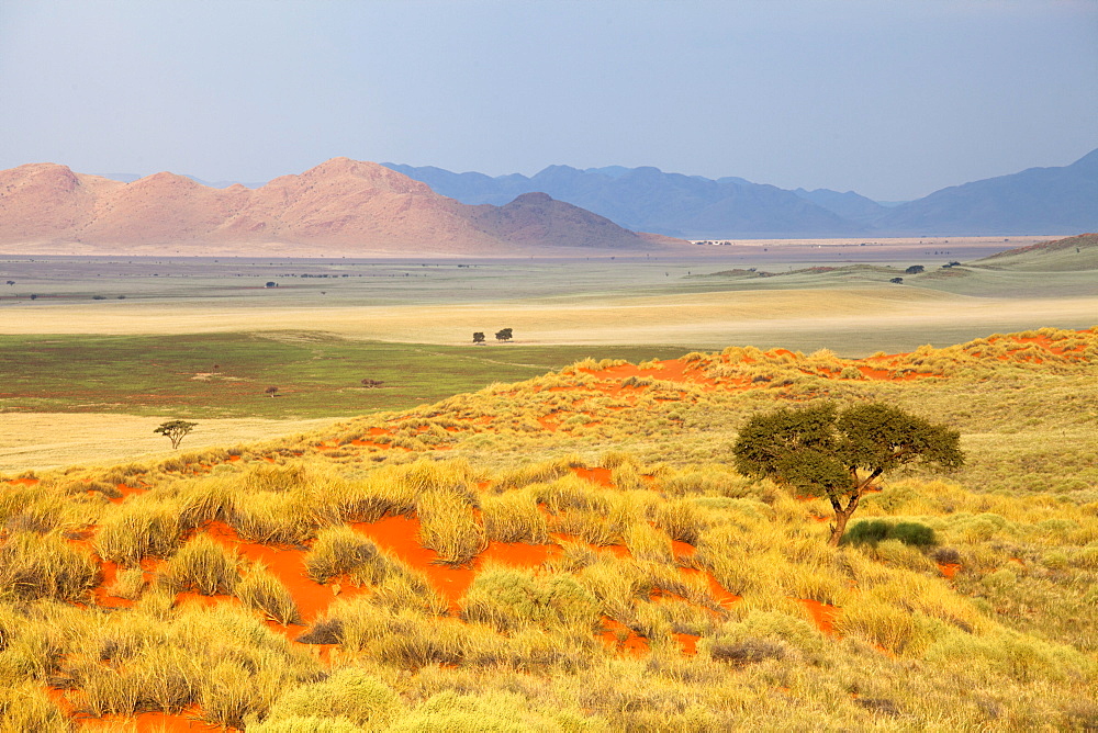 Panoramic view over the desert landscape of the Namib Rand game reserve bathed in evening light, Namib Naukluft Park, Namibia, Africa