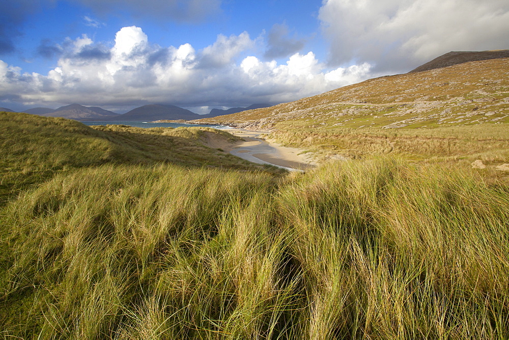 Beach at Luskentyre with dune grasses blowing in the foreground and the hills of North Harris in the distance, Isle of Harris, Outer Hebrides, Scotland