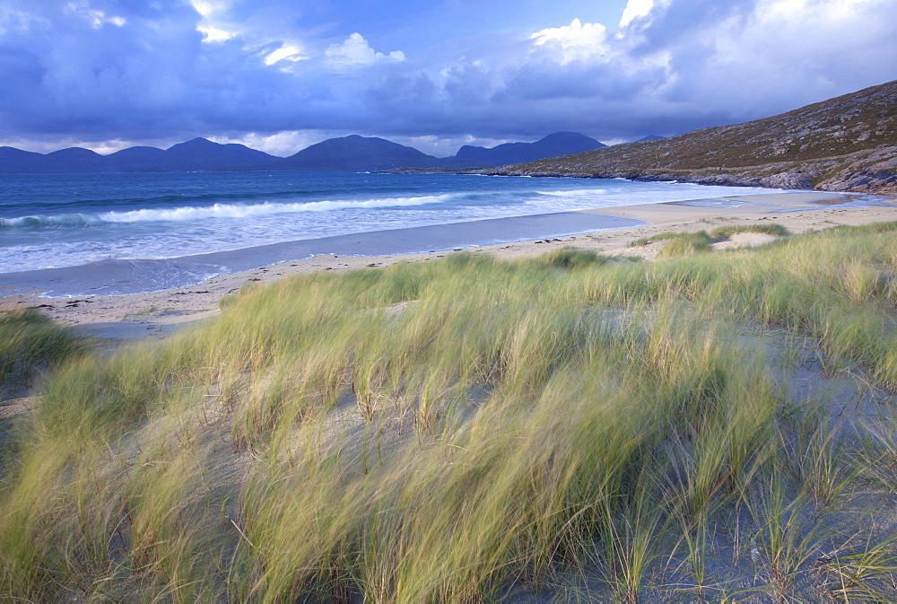 Beach at Luskentyre with dune grasses blowing in the foreground and the hills of North Harris in the distance, Isle of Harris, Outer Hebrides, Scotland