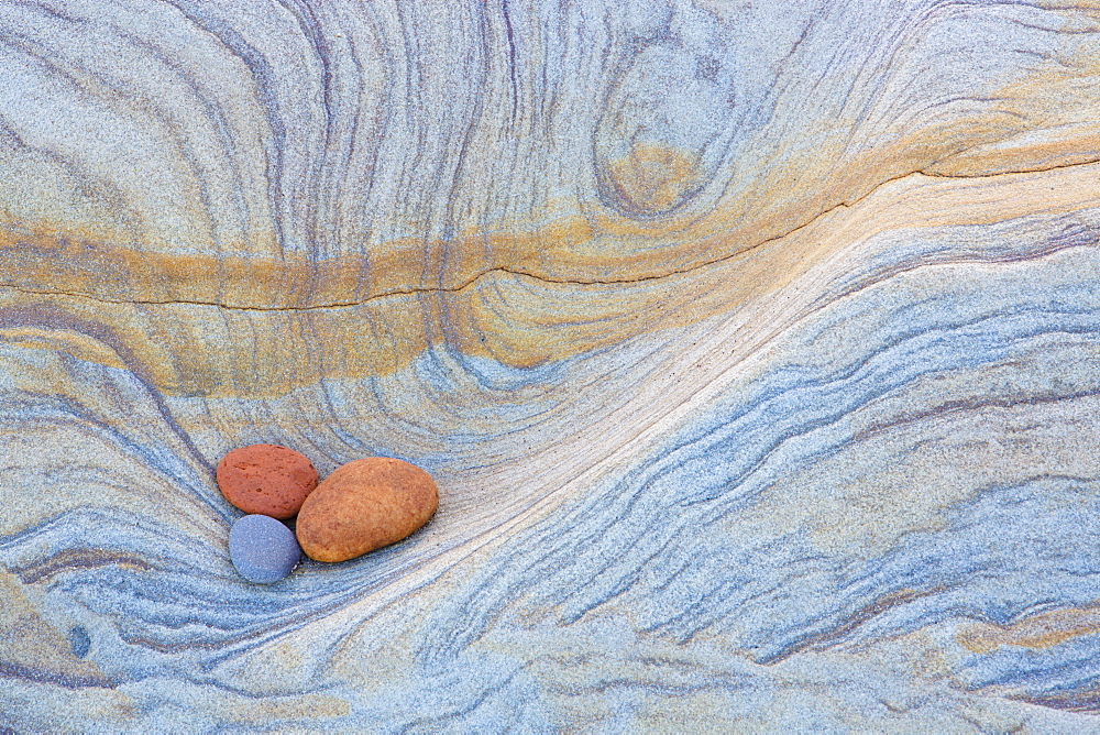 Colourful patterns created by sea erosion on rocks revealed at low tide on Spittal Beach, Berwick-upon-Tweed, Northumberland on border between England and Scotland, United Kingdom, Europe