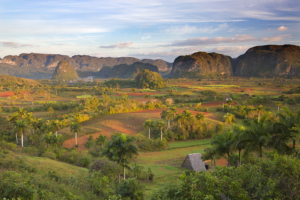 Vinales Valley, UNESCO World Heritage Site, bathed in early morning sunlight, Vinales, Pinar Del Rio Province, Cuba, West Indies, Central America