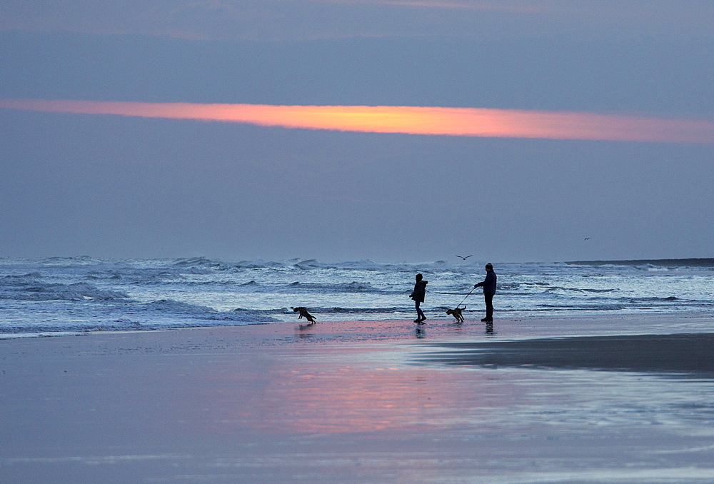 Dog walkers in silhouette on Bamburgh Beach at sunrise, Bamburgh, Northumberland, England, United Kingdom, Europe