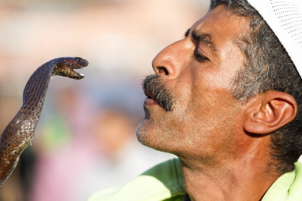 Snake charmer, Djemaa el Fna, Marrakech, Morocco, North Africa, Africa