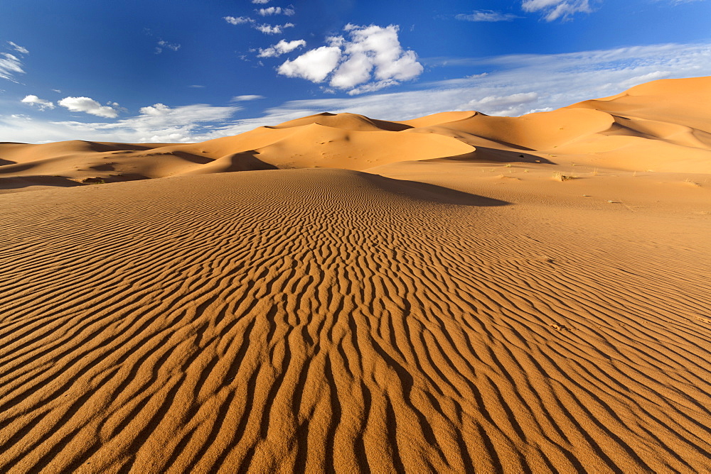 Wide angle view of the ripples and dunes of the Erg Chebbi Sand sea, part of the Sahara Desert near Merzouga, Morocco, North Africa, Africa