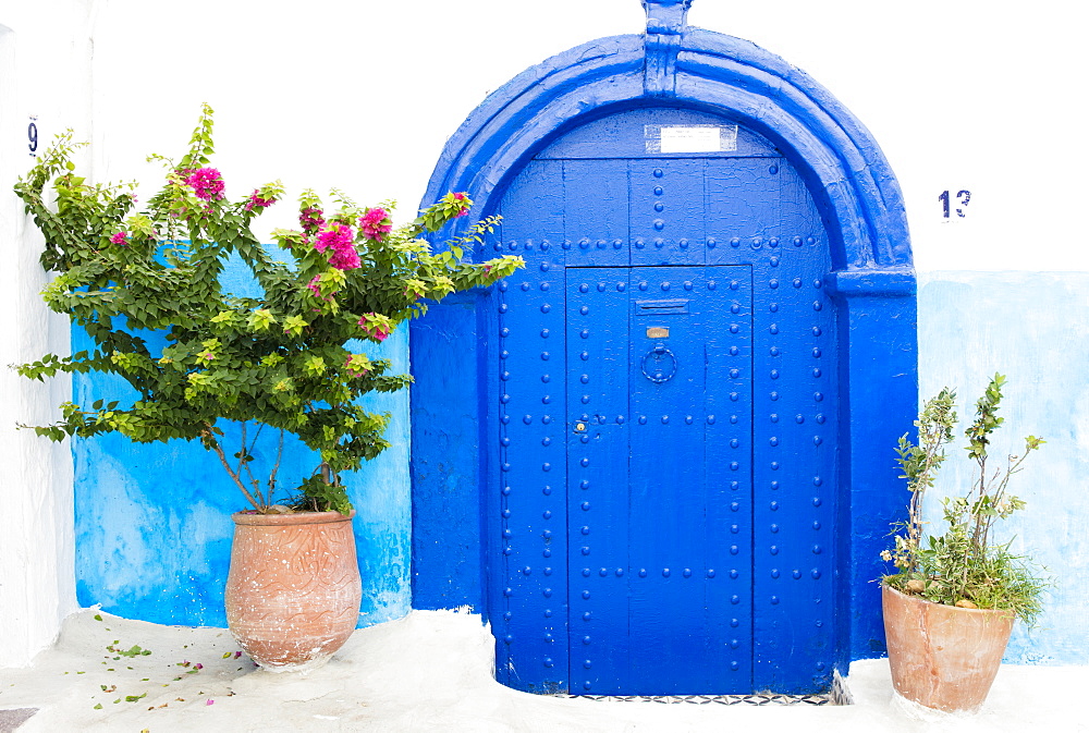 Pots and plants against blue and white wall in Kasbah des Oudaya (Kasbah of the Udayas), Rabat, Morocco, North Africa, Africa