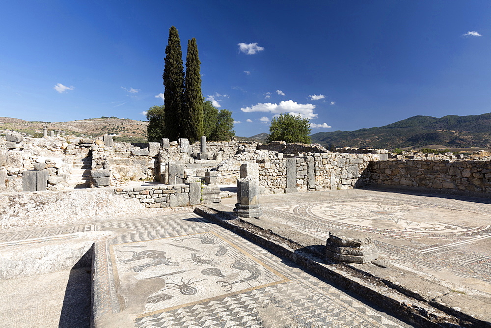 Mosaics in the Roman city of Volubilis, UNESCO World Heritage Site, near Moulay Idris, Meknes, Morocco, North Africa, Africa