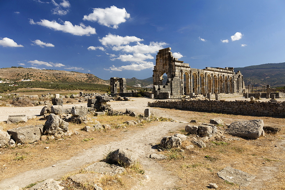 The Basilica at the Roman city of Volubilis, UNESCO World Heritage Site, near Moulay Idris, Meknes, Morocco, North Africa, Africa