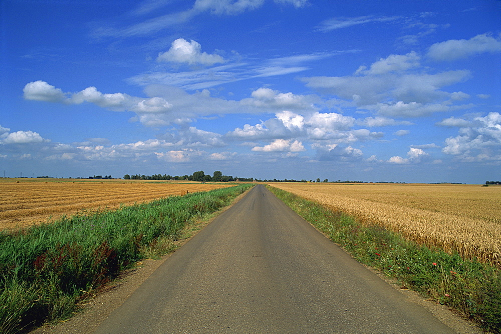 Country road through fields in Fenland near Peterborough, Cambridgeshire, England, United Kingdom, Europe