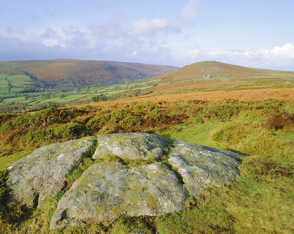 Widecome-in-the-Moor, Dartmoor, Devon, England, UK