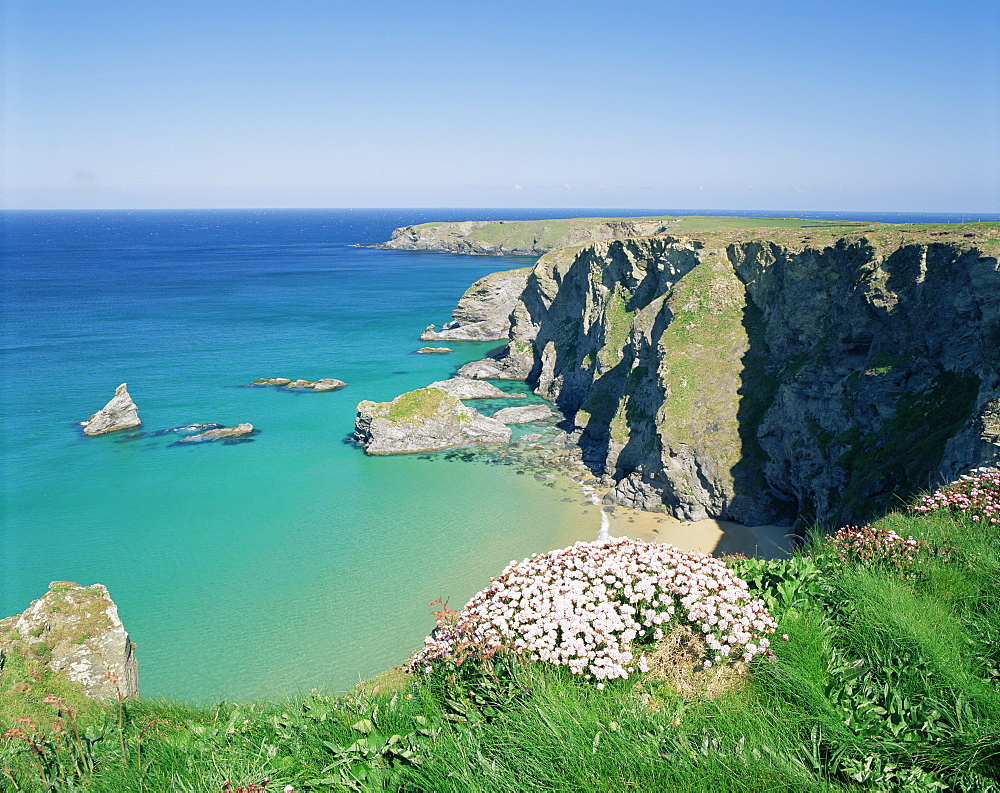 Lizard Bay, Cornwall, England, United Kingdom, Europe