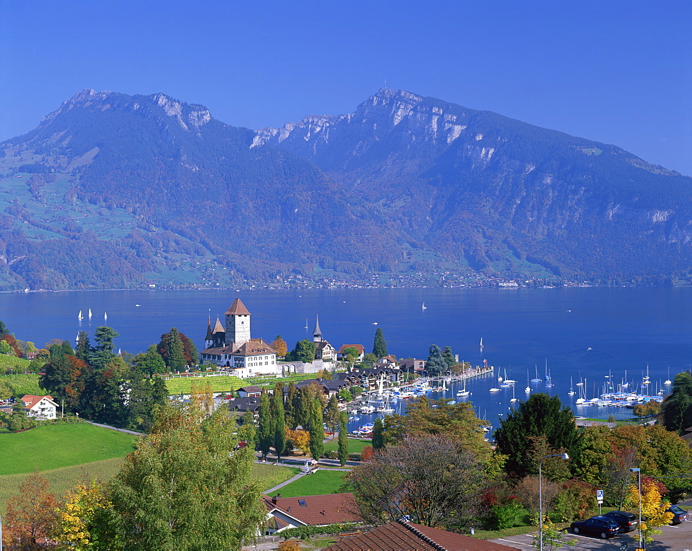 View over town and harbour of Spiez on Lake Thunersee in the Bernese Oberland, Switzerland, Europe