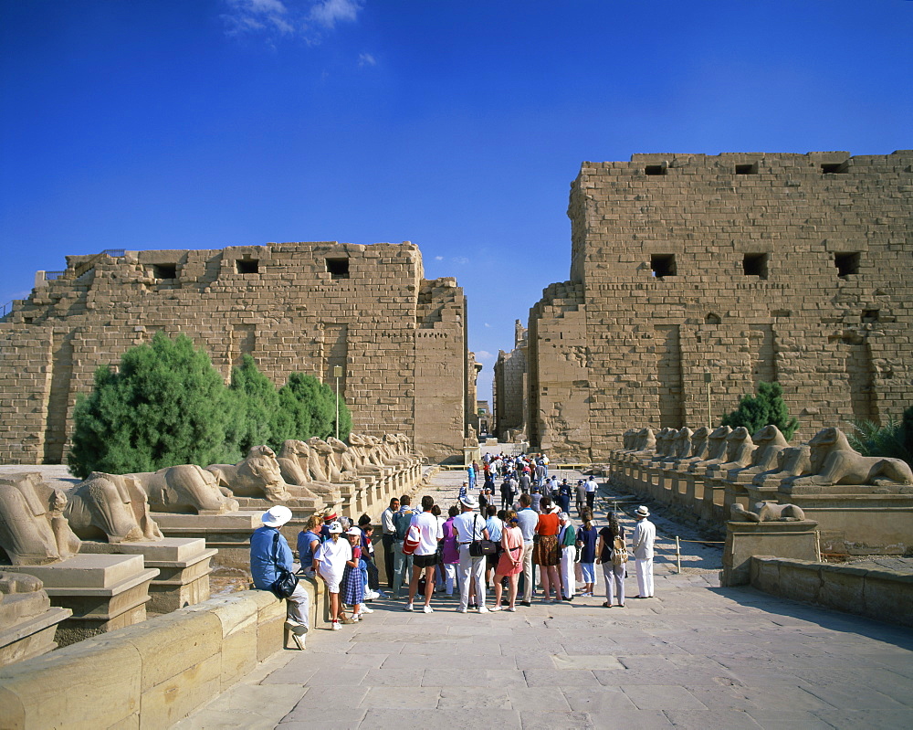 Crowd of tourists on the Processional Avenue, lined with ram-headed sphinxes, Temple of Karnak, Thebes, UNESCO World Heritage Site, Egypt, North Africa, Africa