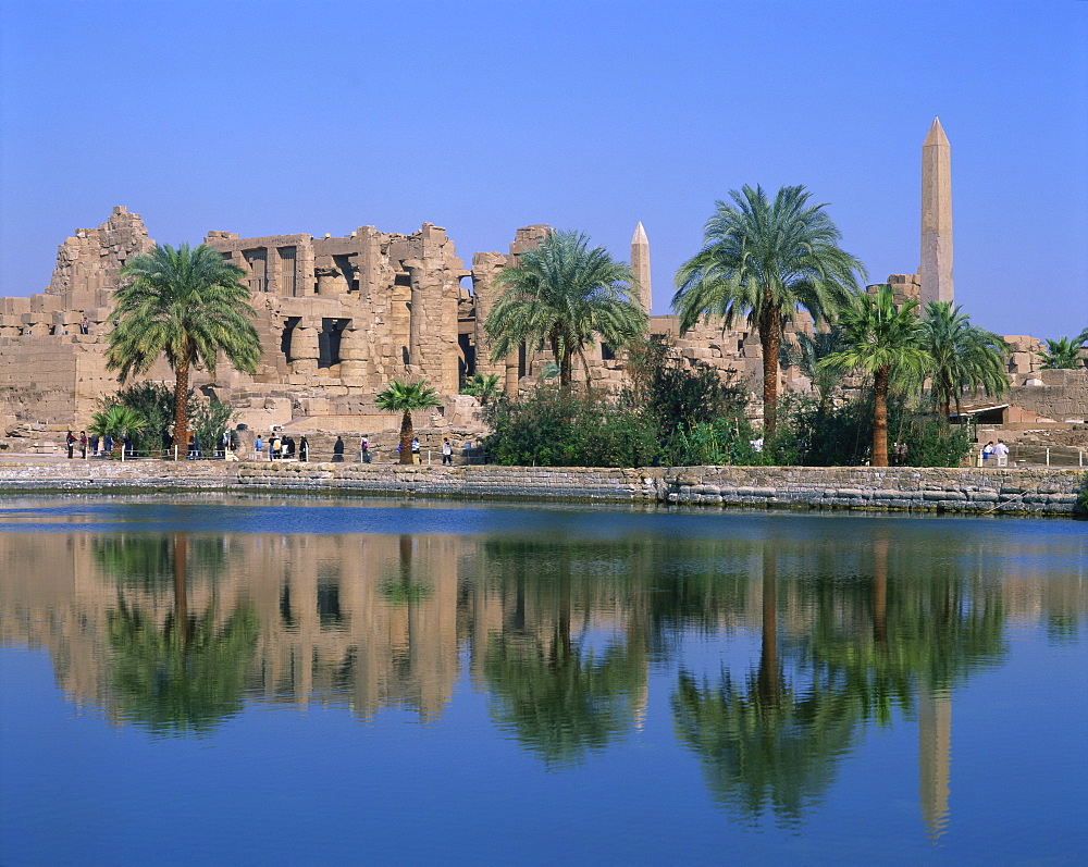 Reflections in the sacred lake of the temple, obelisks and palm trees at Karnak, near Luxor, Thebes, UNESCO World Heritage Site, Egypt, North Africa, Africa