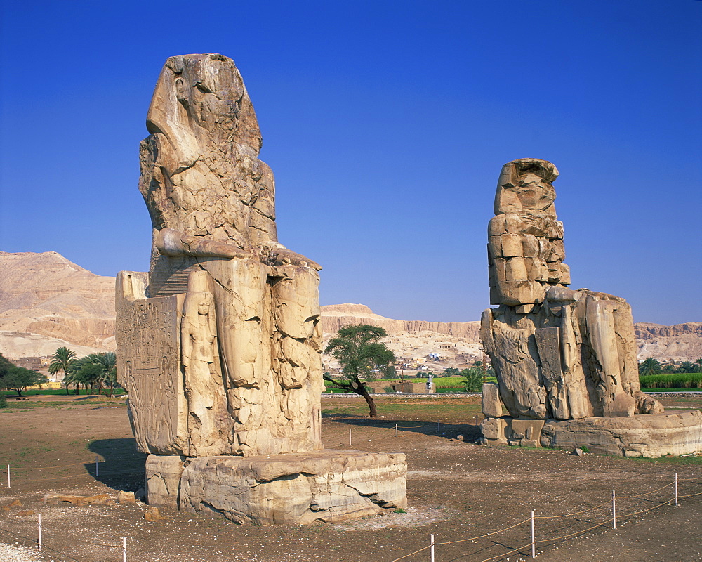 Statues of Amenhotep or Amenophis III known as the Colossi of Memnon at Thebes, UNESCO World Heritage Site, Egypt, North Africa, Africa