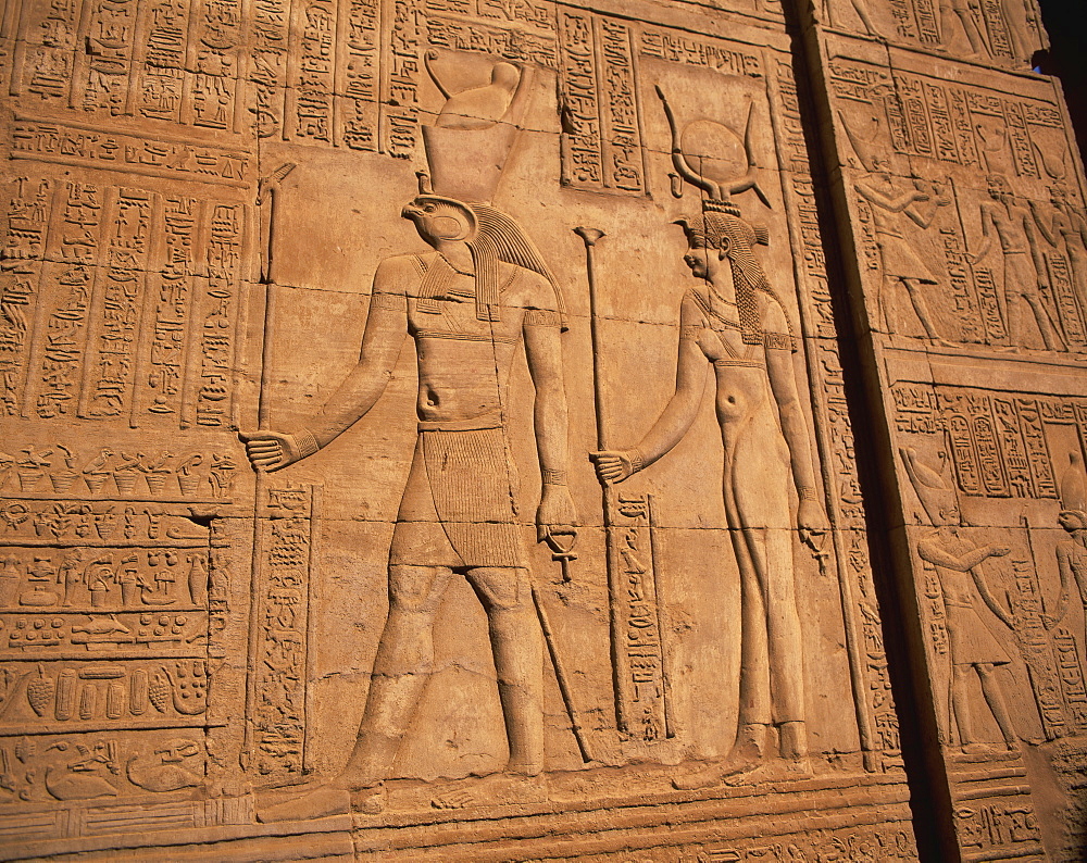 Detail of relief carving including hieroglyphics, Kom Ombo, Egypt, North Africa, Africa, Africa