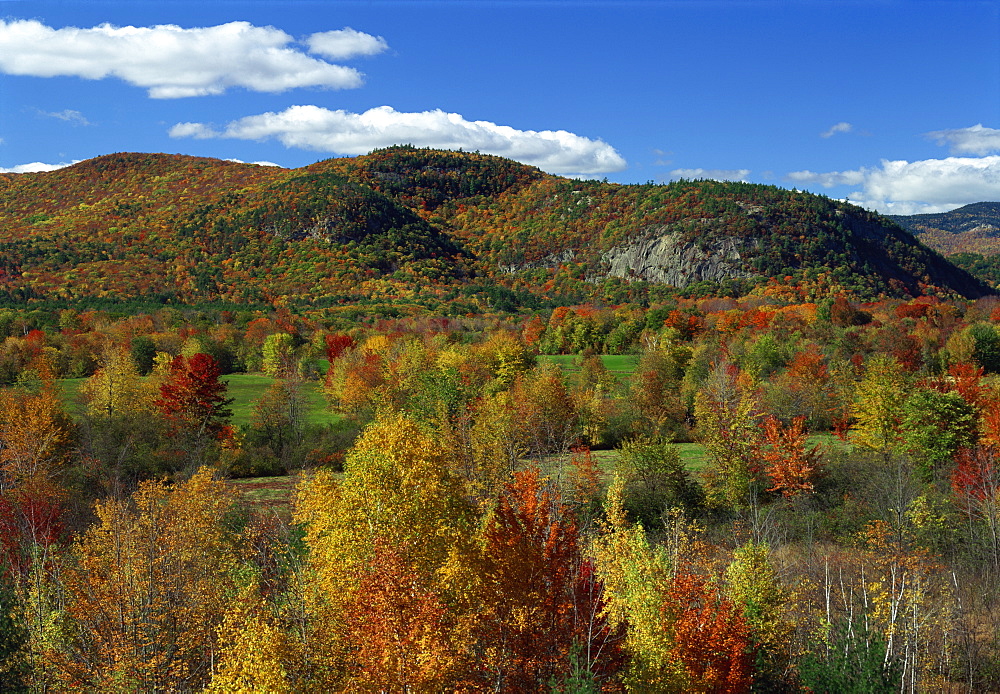 Aerial view over woodland and rolling hills in fall colours, White Mountain National Park, New Hampshire, New England, United States of America, North America