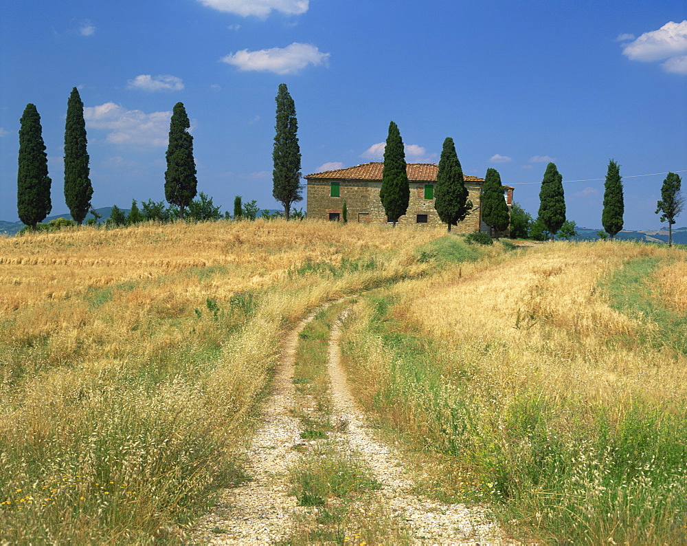 Rough track leads to an old house behind cypress trees in Tuscany, Italy, Europe