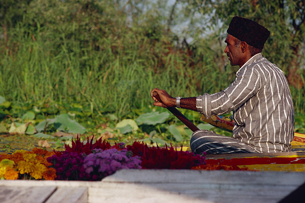 Man in shikara, Dal Lake, Kashmir, India, Asia