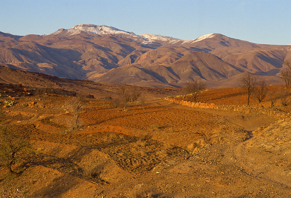 Ploughed fields and the Siroua Massif, Anti Altas Range, Morocco, North Africa, Africa