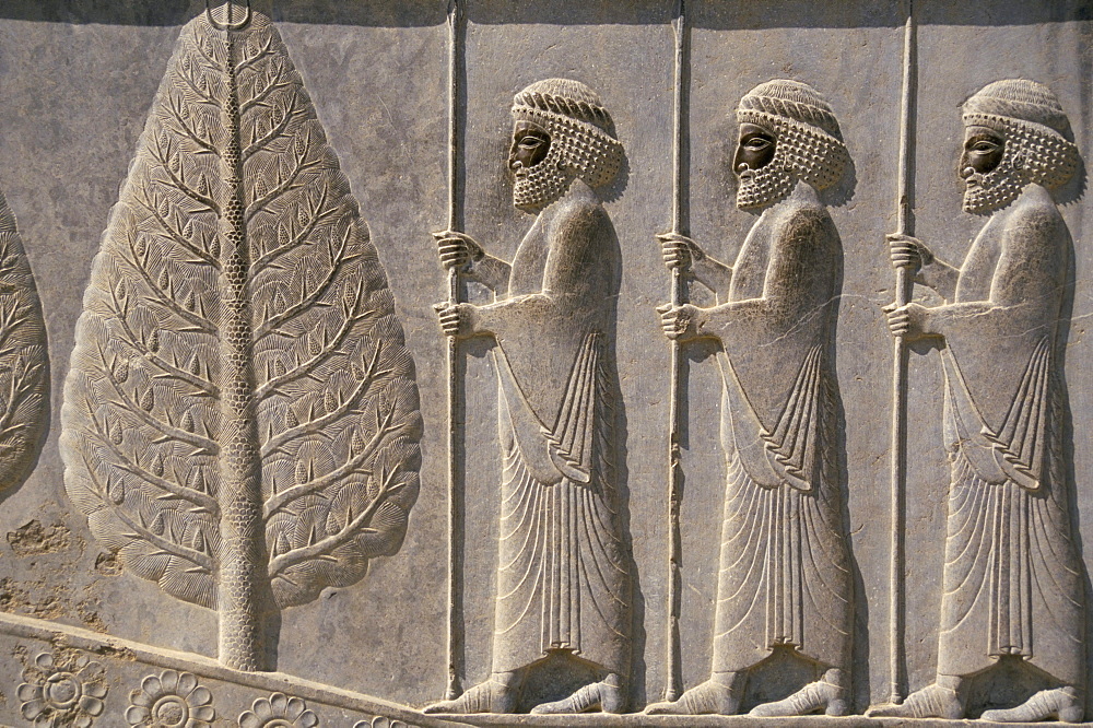 Carved reliefs of palace guard, Apadana palace staircase, Persepolis, UNESCO World Heritage Site, Iran, Middle East