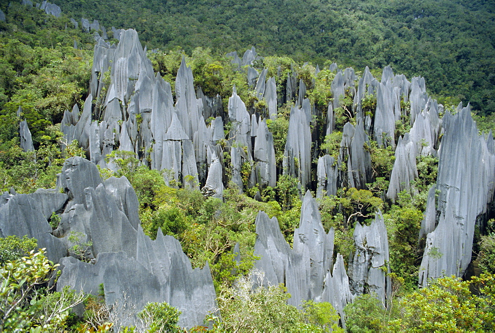 Limestone pinnacles on Mount Api, Gunung Mulu National Park, Sarawak, island of Borneo, Malaysia, Asia