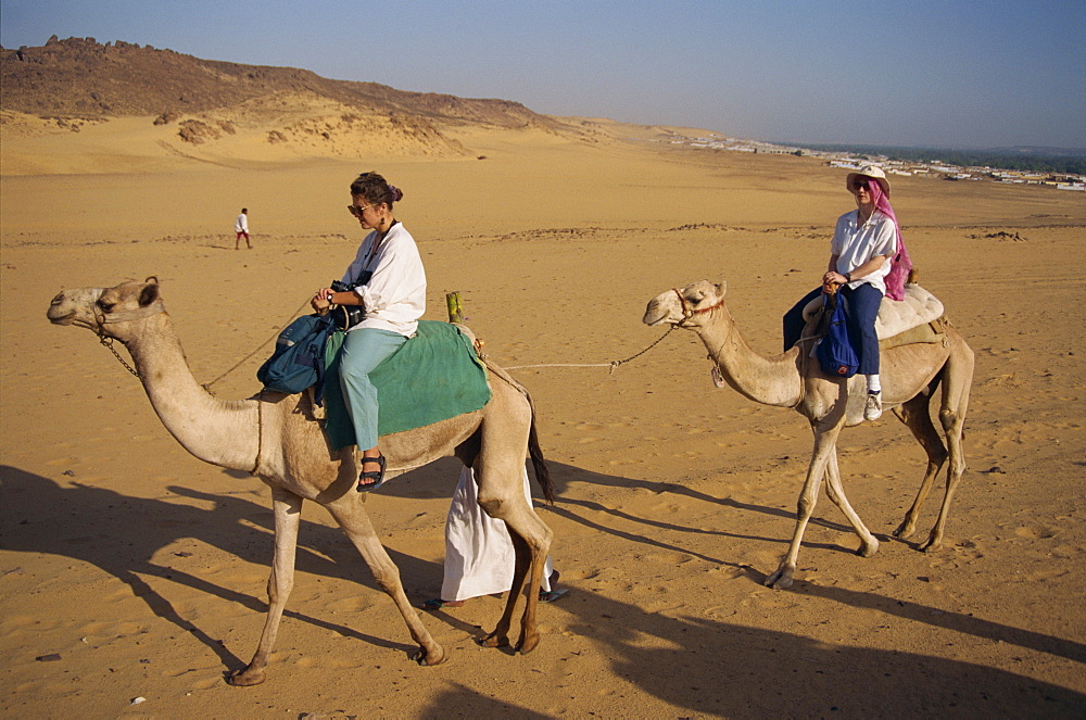 Tourists on camel trek, Aswan, Egypt, North Africa, Africa