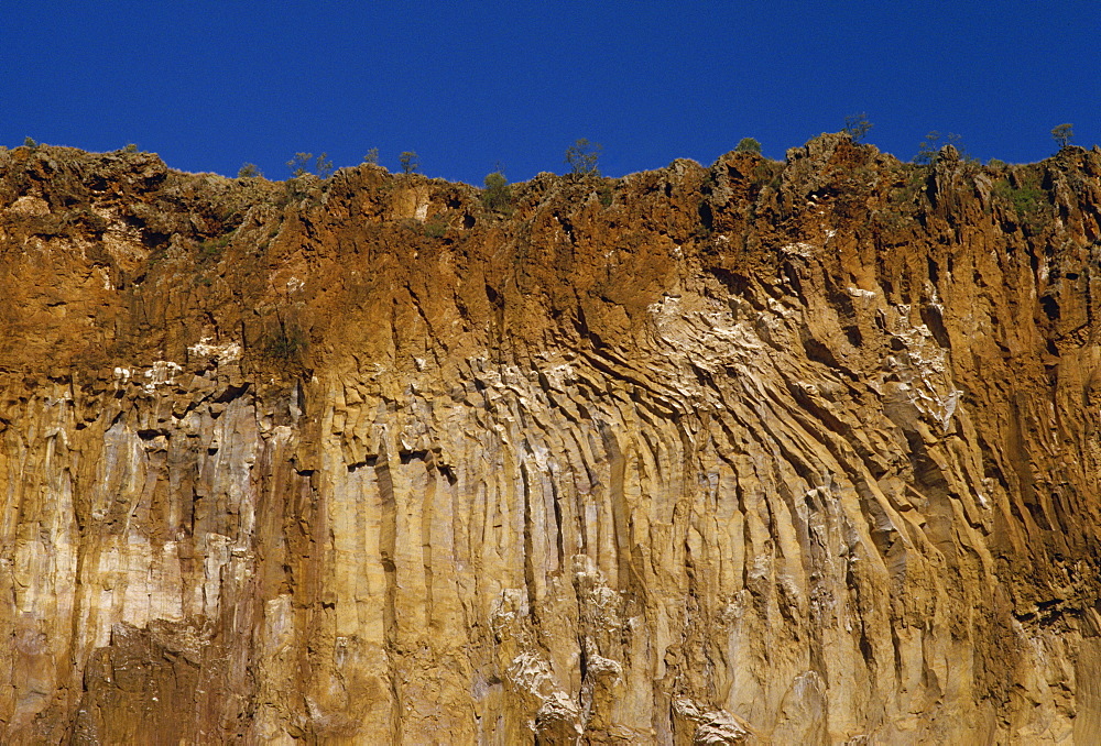 Cliff detail, Hells Gate, Kenya, East Africa, Africa