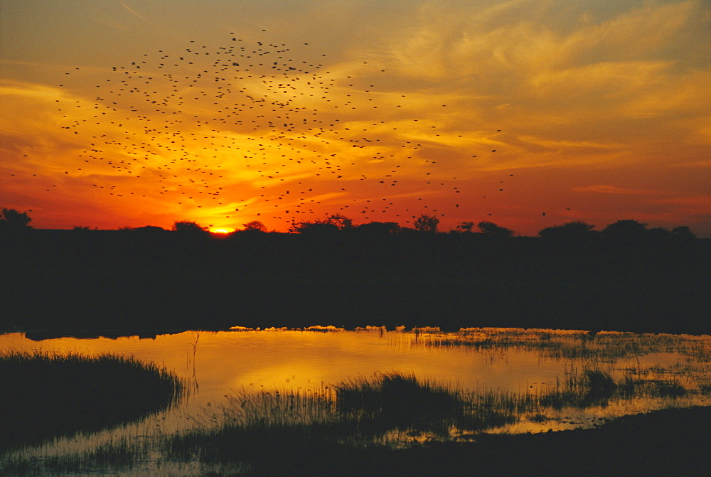 Waterhole at sunset, Namutoni Camp, Etosha National Park, Namibia, Africa